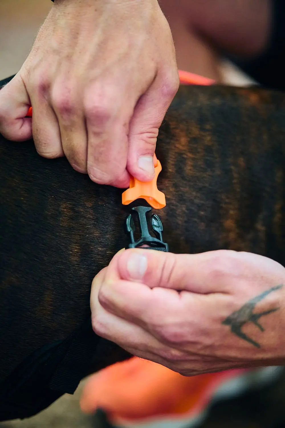 NON-STOP | Harnais Rush