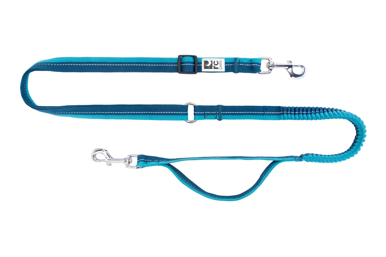 RC PETS | Laisse active élastique