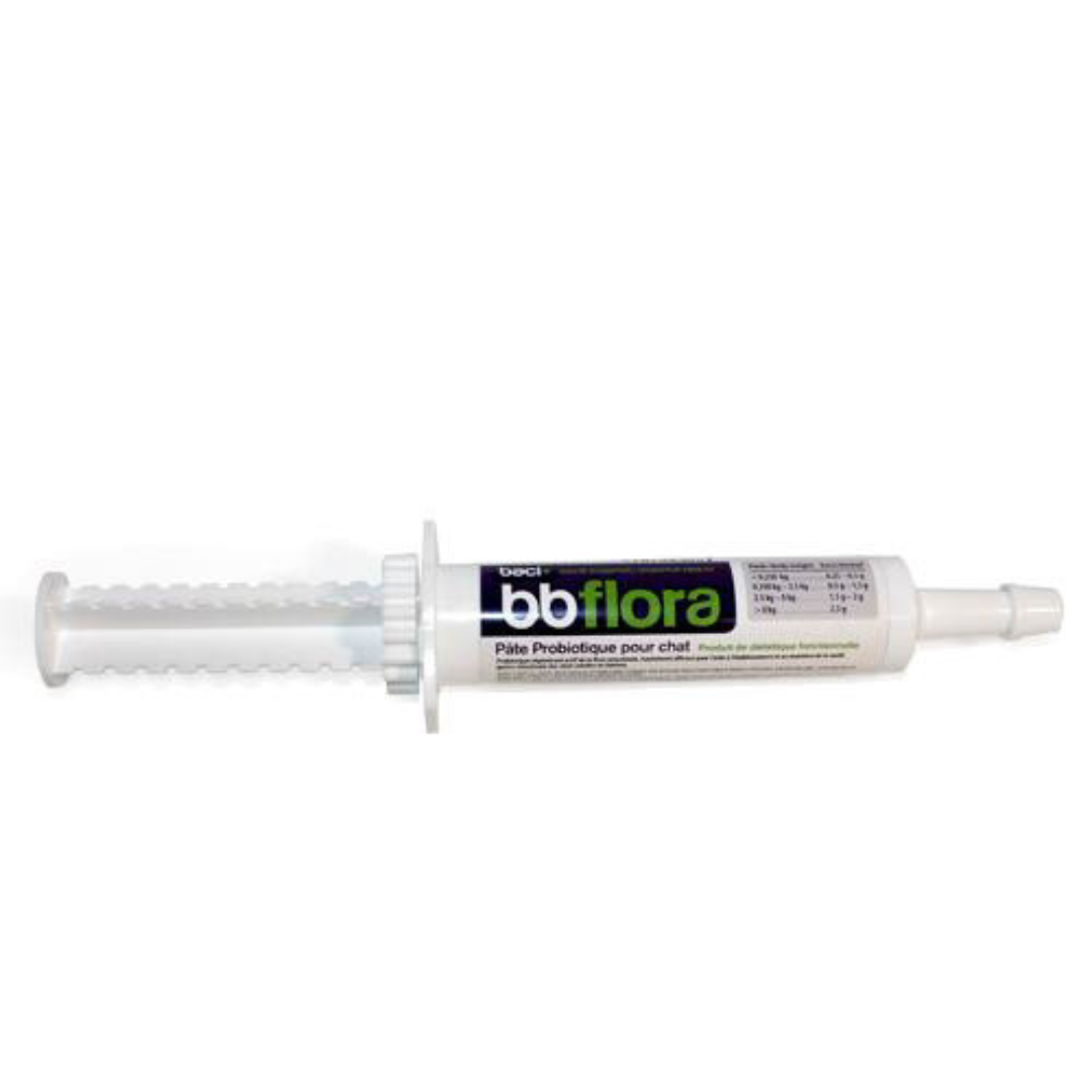 Baci+ bb flora chat pâte probiotiques pour santé digestive