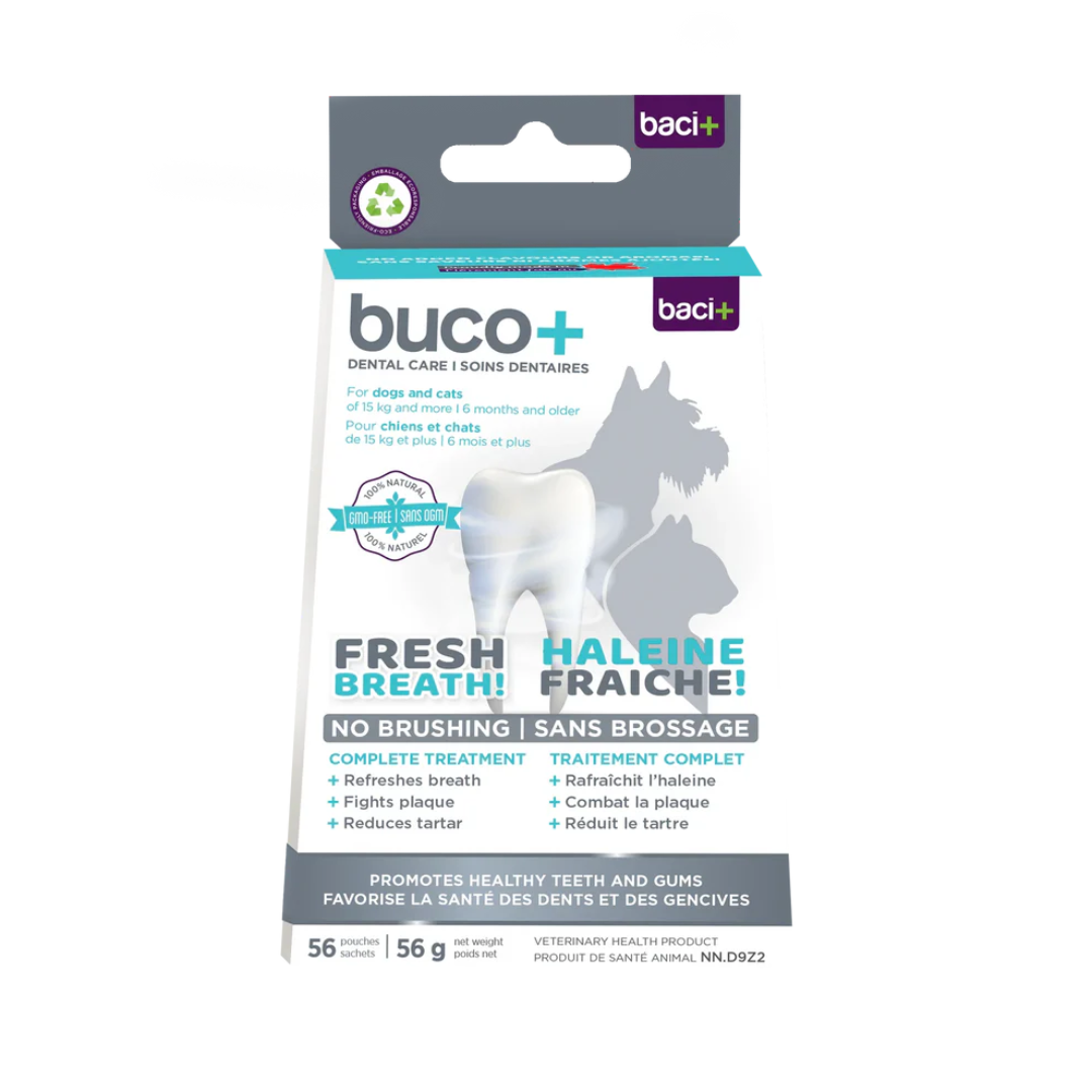 Buco+ soins dentaires grand chien complet