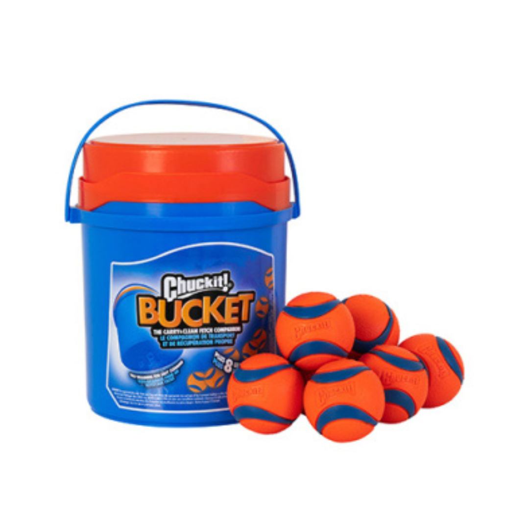 CHUCK IT | Bucket with ultra ball moyen