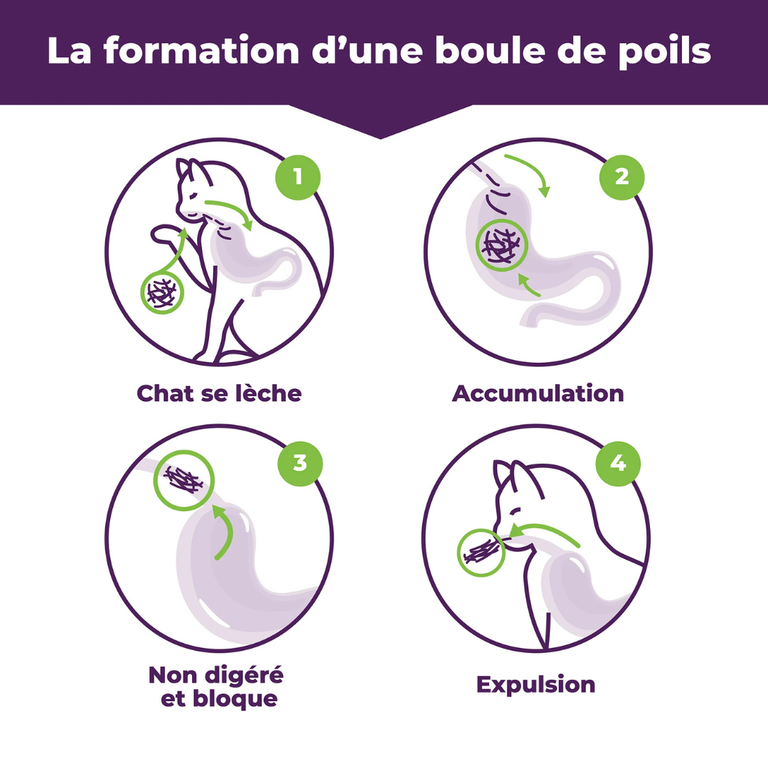 BACI+ | Boule de poils formule originale 85g