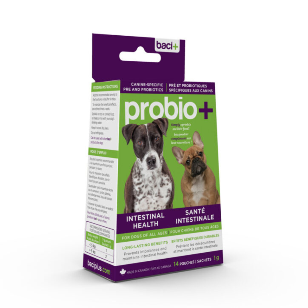 BACI+ | Probio+ chien