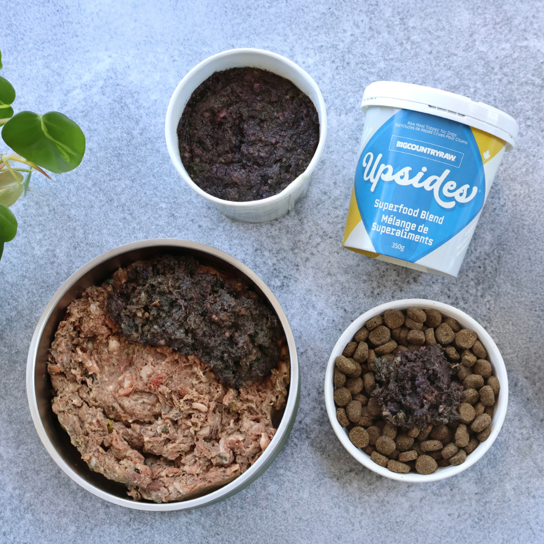 BIG COUNTRY RAW | Upsides mélange de superaliments 350g