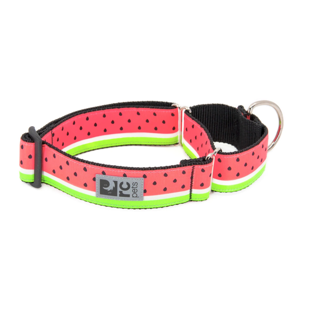 RC PETS | Collier martingale large à motifs