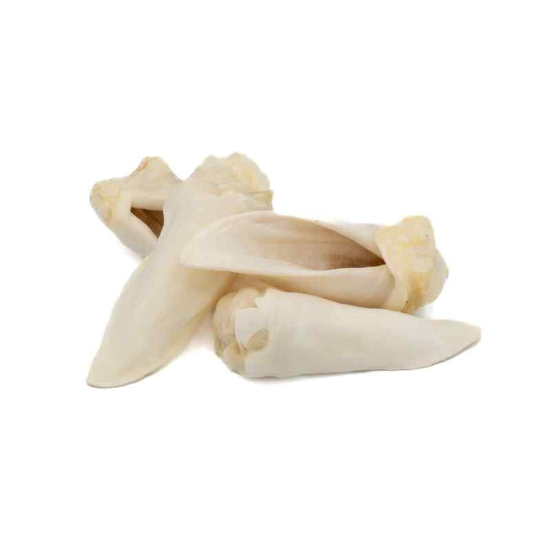FUREVER PURE | Oreilles d'agneau soufflées (sac de 10)