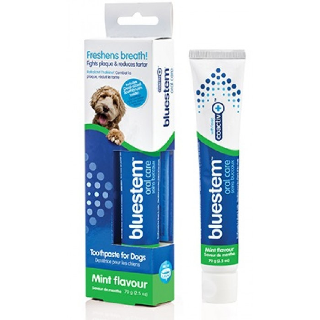 BLUESTEM | Pâte à dents menthe/van 70g