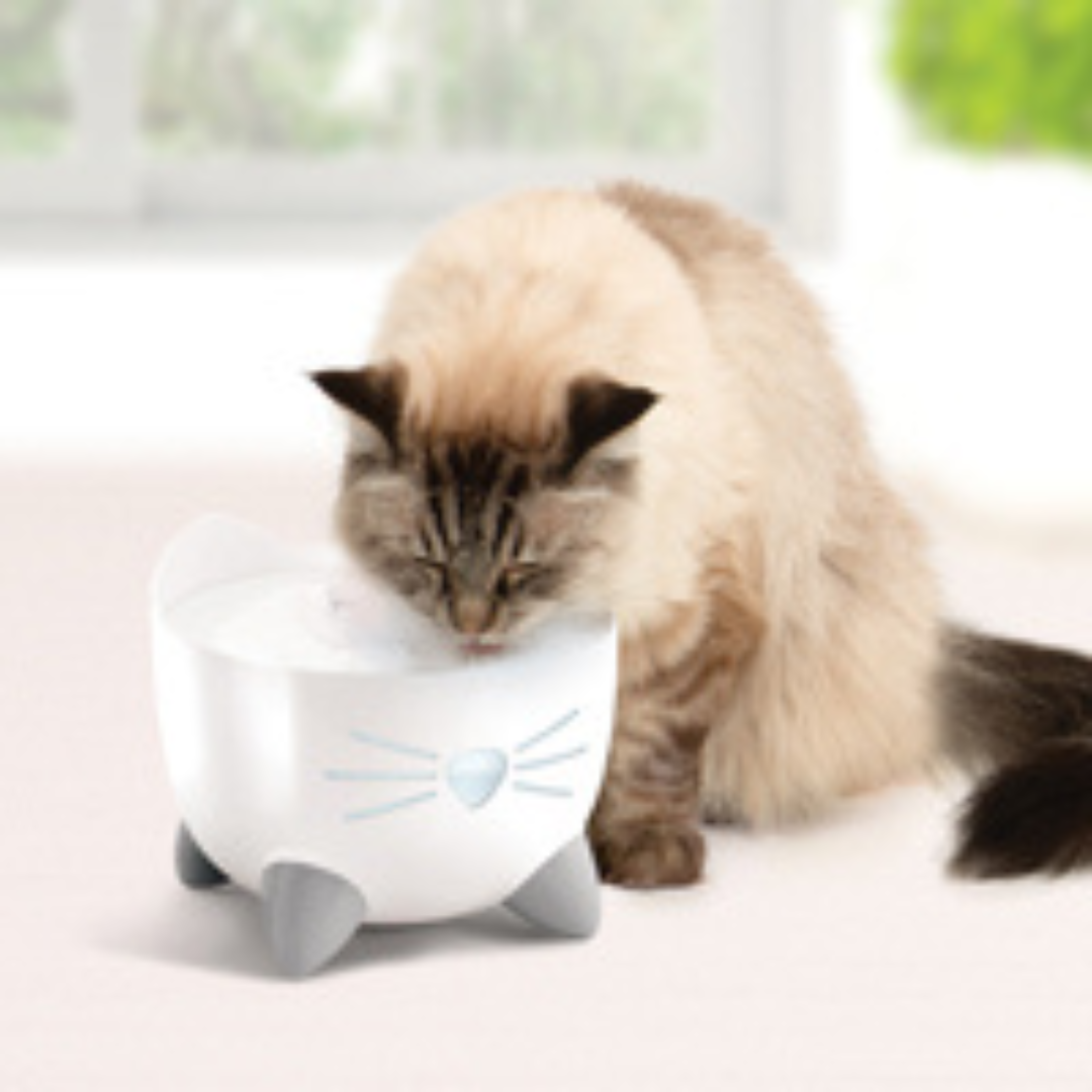 CATIT | Abreuvoir pixi blanc