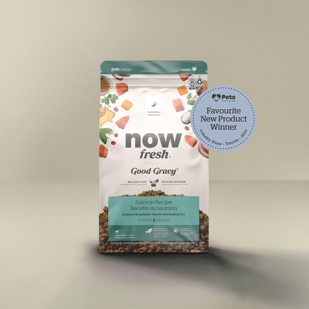 NOW FRESH | Good Gravy au saumon, petite race