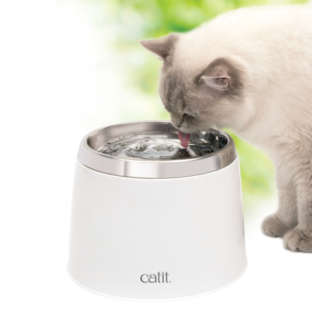 CATIT | Fontaine acier inox blanc 2L