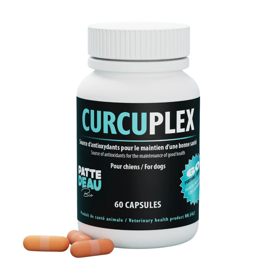 PATTEDEAU BIO | Curcuplex 60 unités