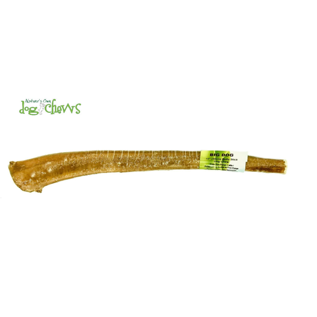Nature's Own | Bully Stick Big Dog