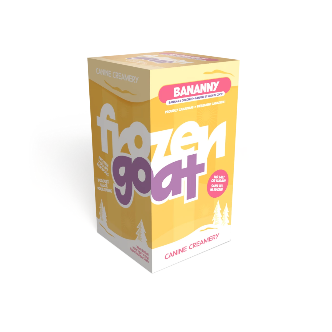 BIG COUNTRY RAW | Yogourt de chèvre glacé aux bananes 300ml