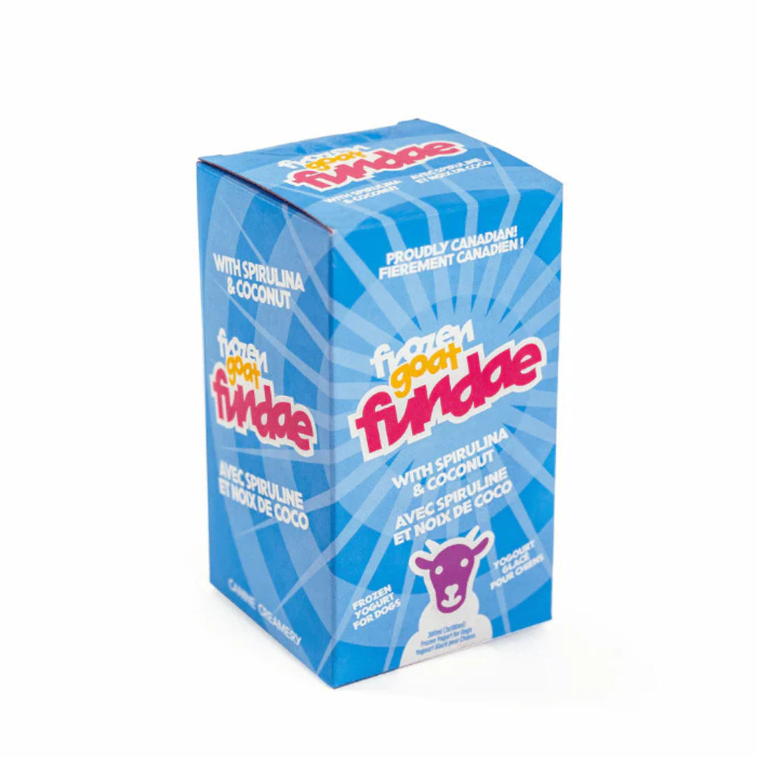 BIG COUNTRY RAW | Yogourt de chèvre glacé "Fundae" 300ml