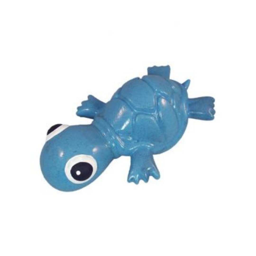 CYCLE DOG | Tortue