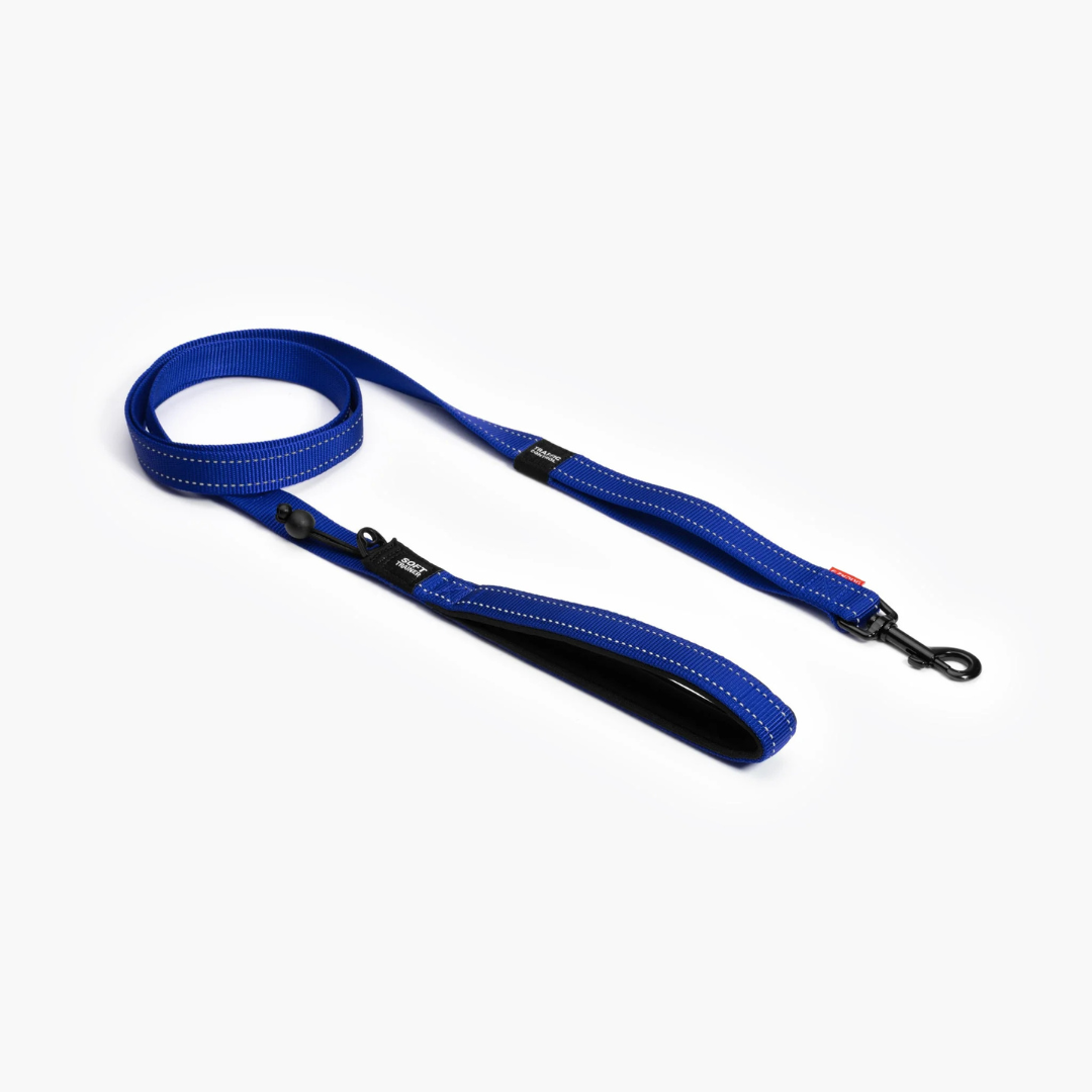 EZYDOG | Laisse soft trainer bleu