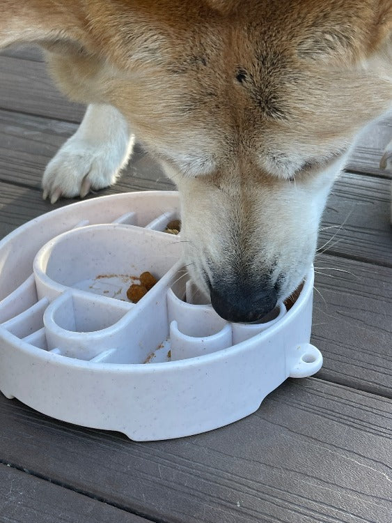 SODAPUP | Ralentisseur Mocha pour chiens
