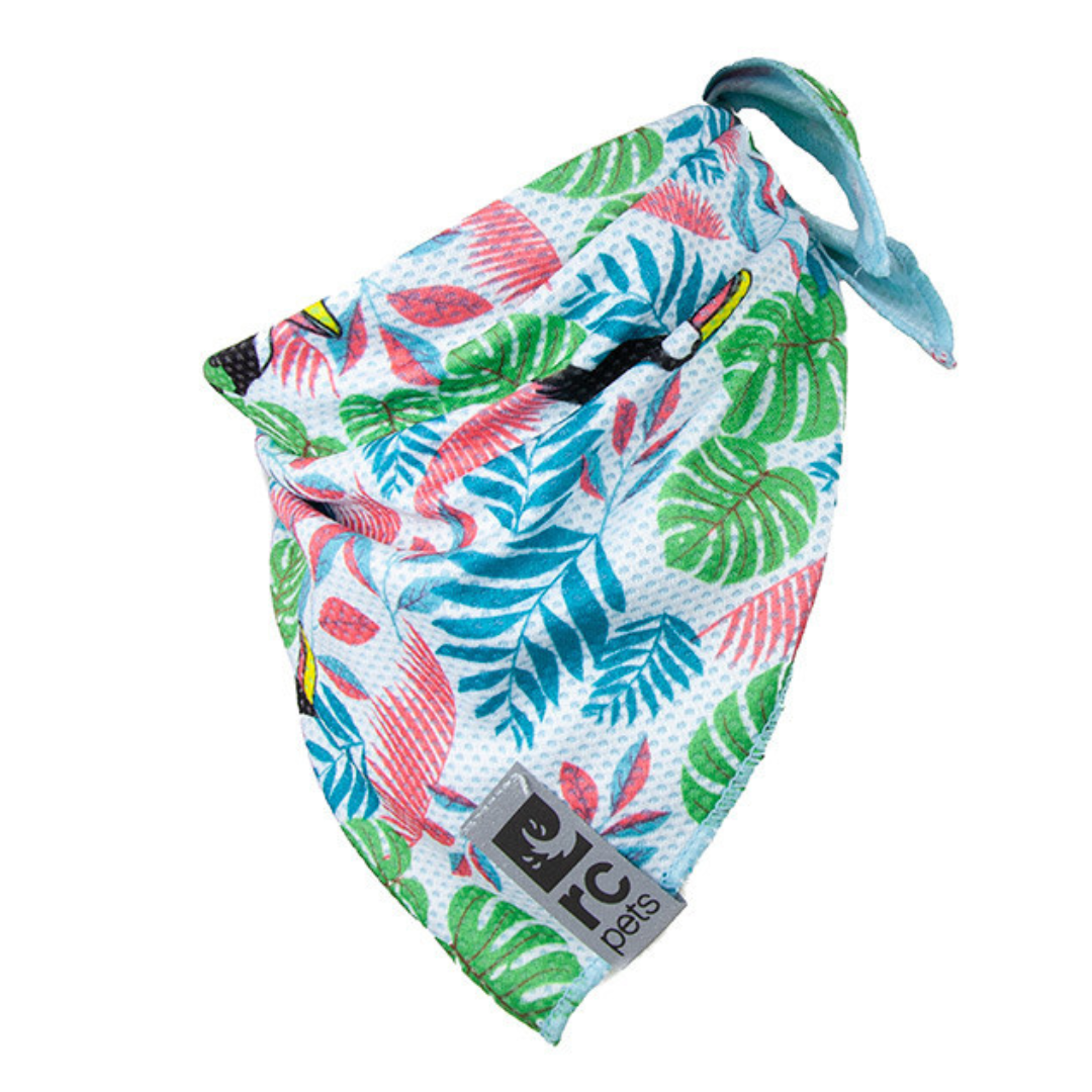 RC PET | Bandana rafraîchissant toucan