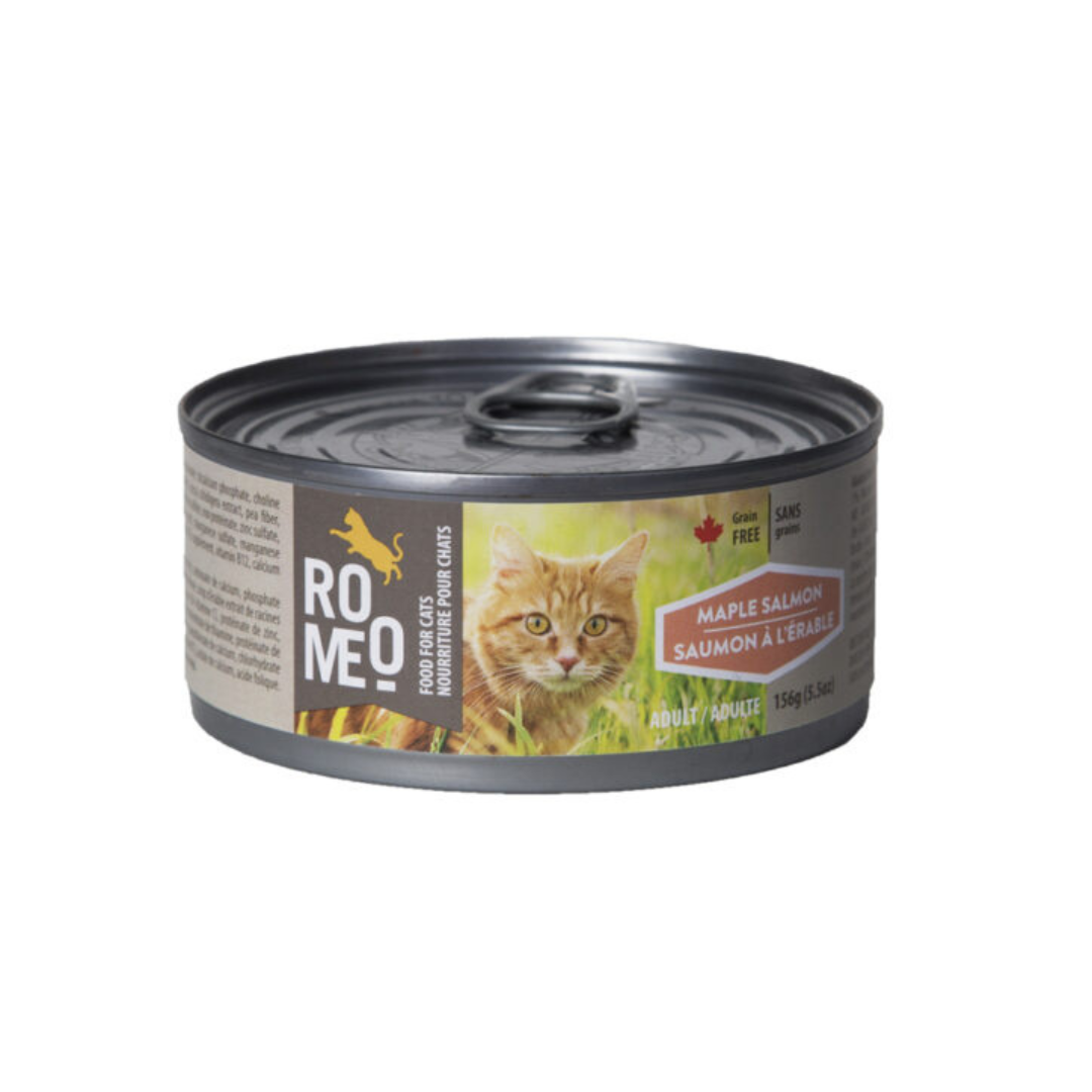 ROMÉO | Chat, Saumon à l'érable