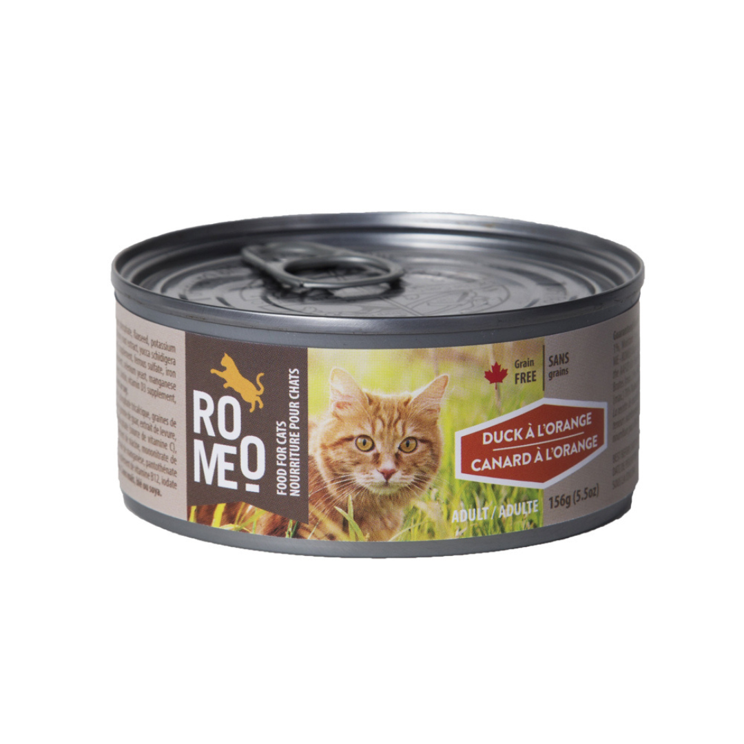 ROMÉO | Chat, canard à l'orange