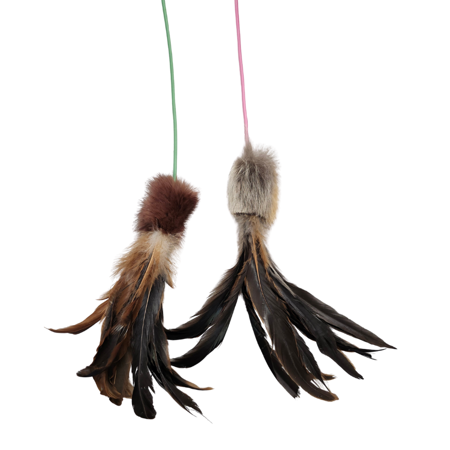 VANESSA'S MAINE COONS | Agace-chat "Poils et plumes"