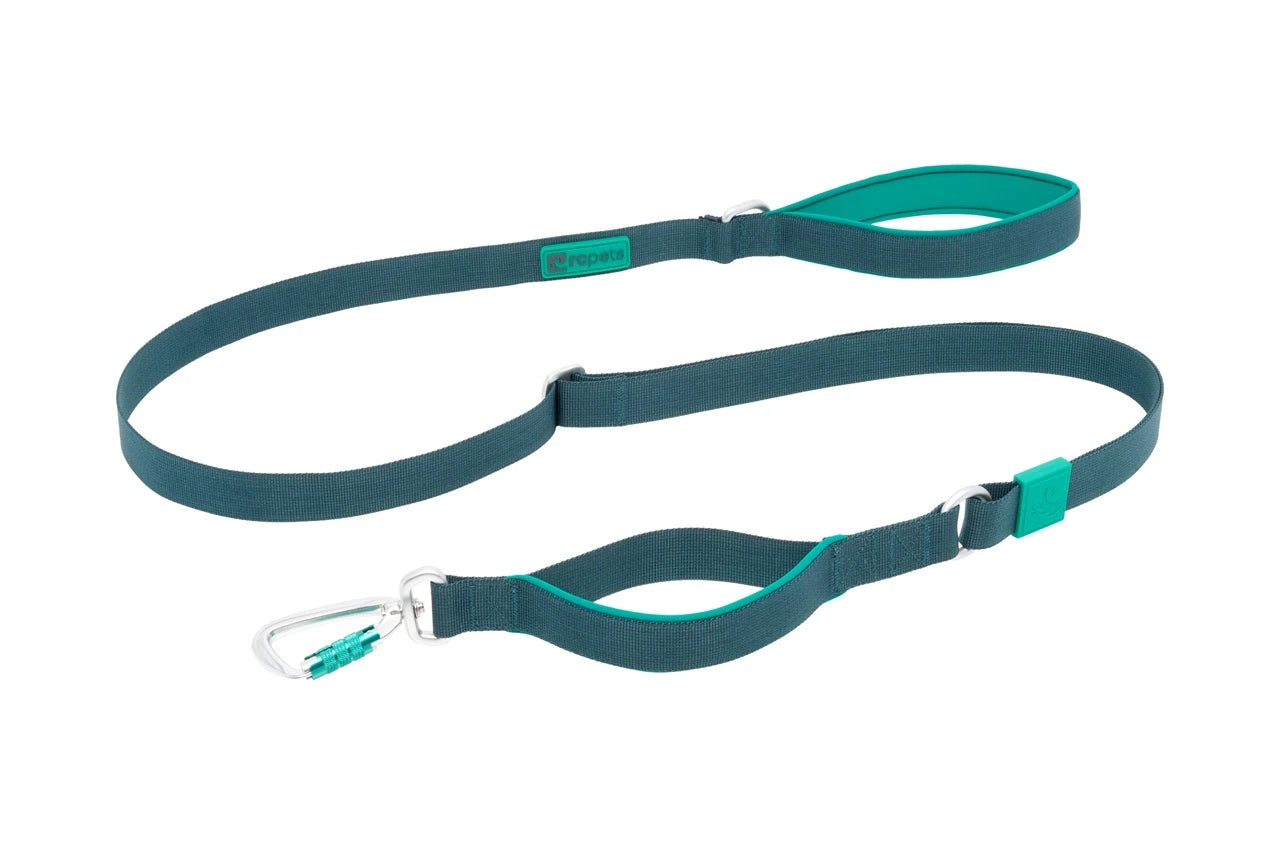 RC PETS | Laisse Stratus
