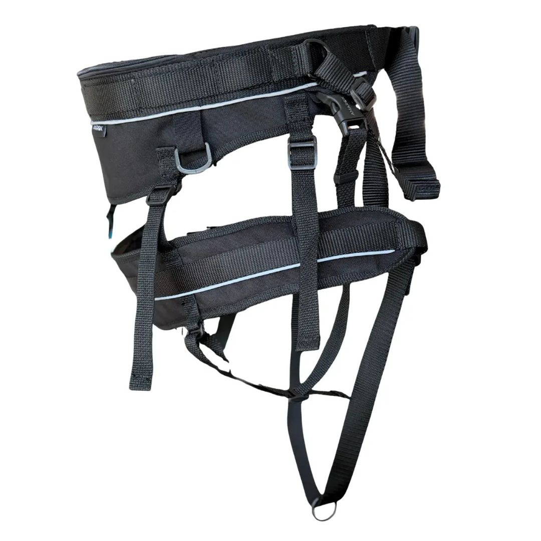 AMAROK | Ceinture de canicross Évolution