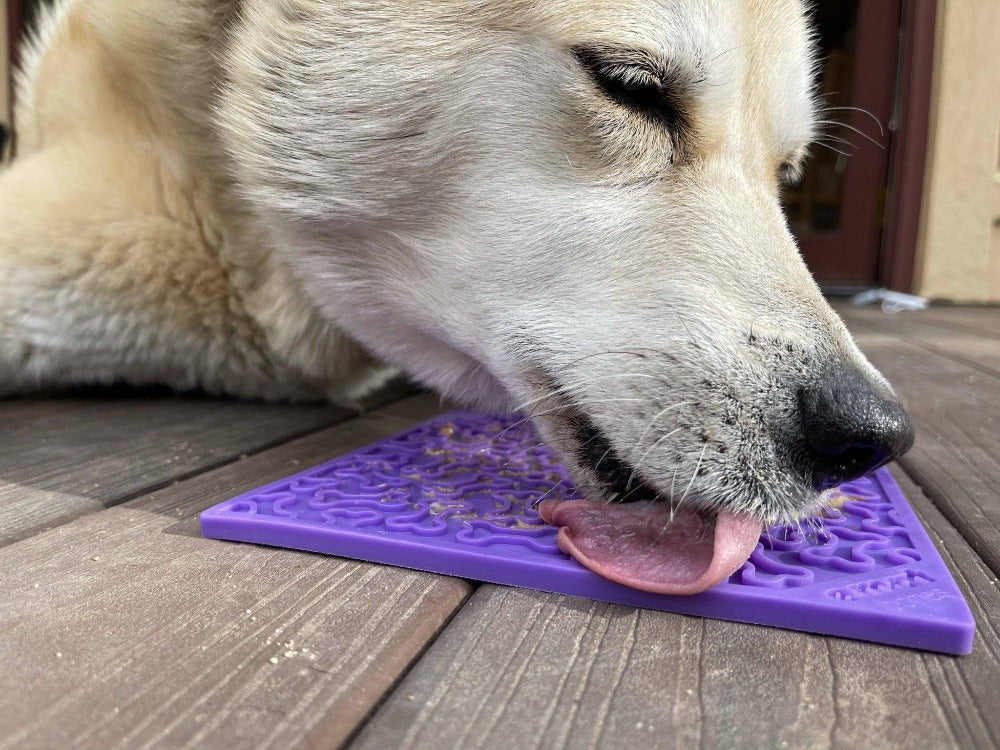 SODAPUP | Tapis de léchage Os