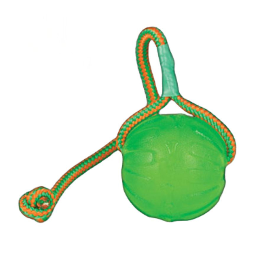 STARMARK | Balle Swing n' Fling Chew