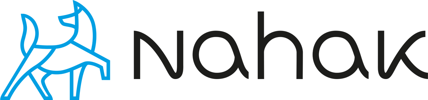 Nahak (sport)