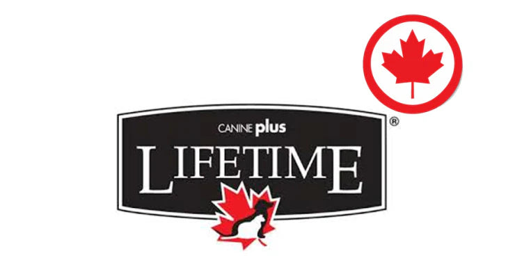 Lifetime chien