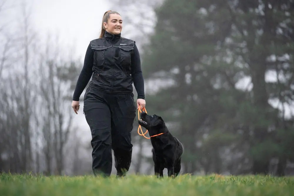 NON-STOP | Laisse lasso pour chien