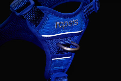 RC PETS | Harnais pour chien Momentum