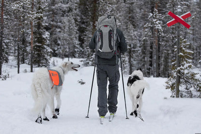 NON-STOP | Solid sock pour chien (paquet 4)