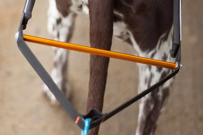 NON-STOP | Harnais Nansen Stick (mushing)