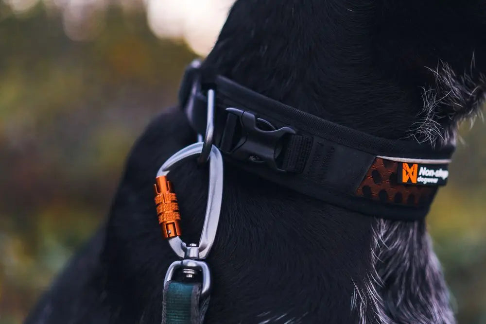 NON-STOP | Rock Collier respirant ajustable