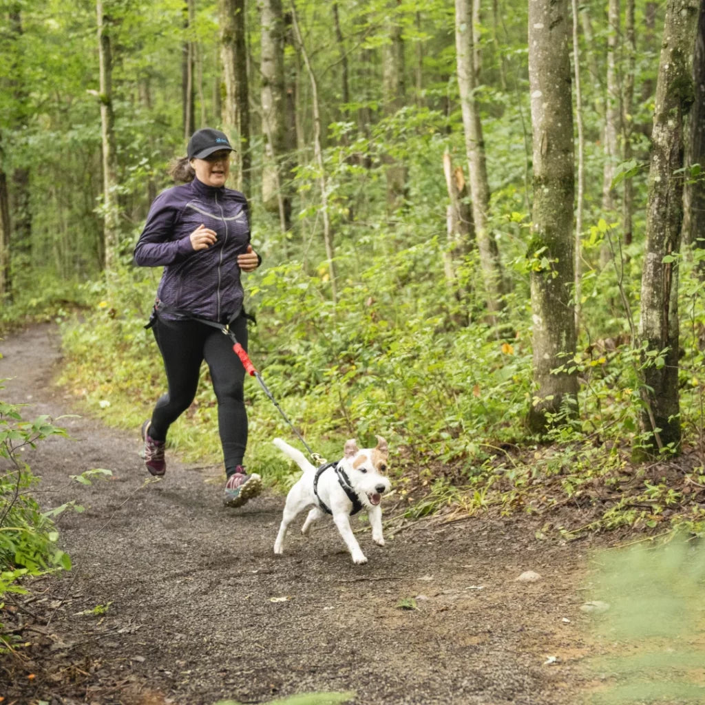NAHAK | Ceinture multifonctions pour marche ou sports canin. Nature Animale, votre référence en alimentation animale à Mascouche.