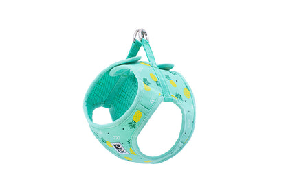 RC PET | Harnais chien Step-In motif