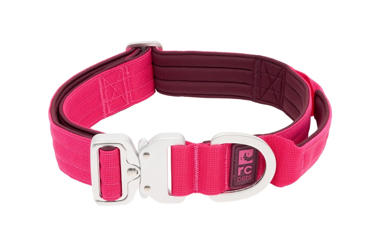 RC PETS | Collier Stratus