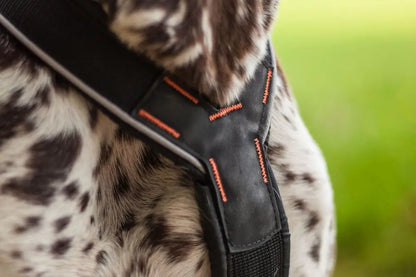 NON-STOP | Harnais Nansen Stick (mushing)