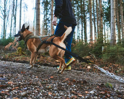 NON-STOP | Attelage de harnais pour chien de travail WD