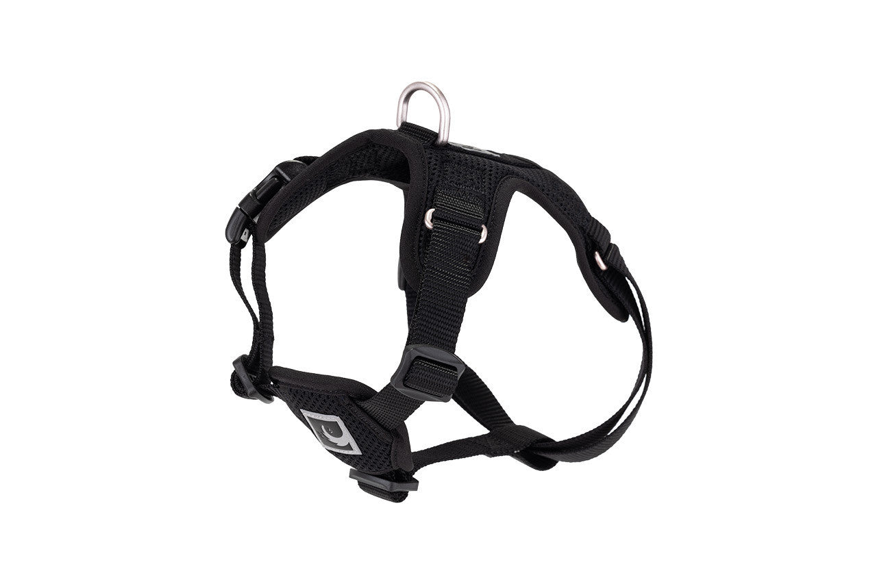 RC PETS | Harnais Step-In Forte pour chiens