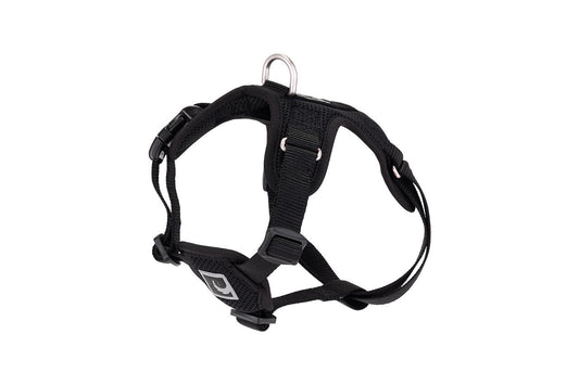 RC PETS | Harnais Step-In Forte pour chiens