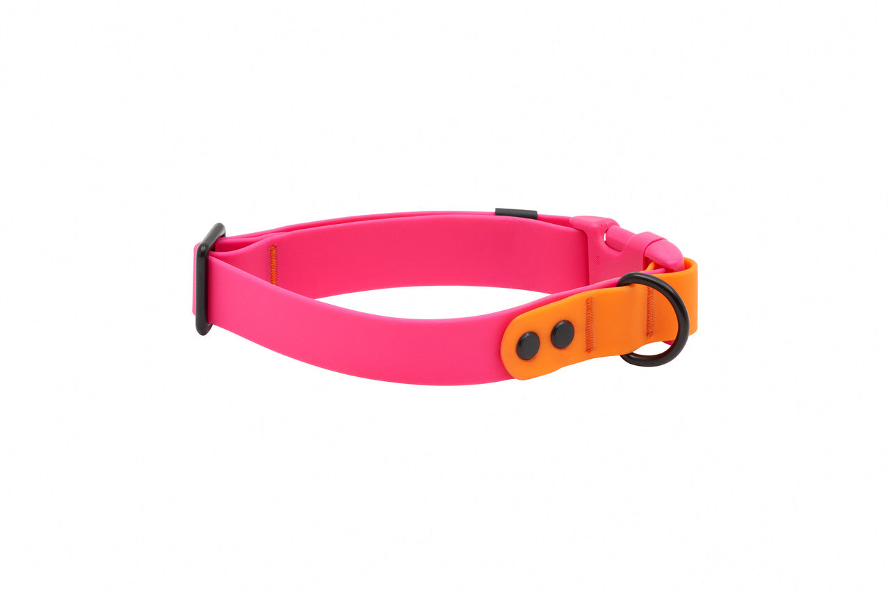 RC PETS | Collier imperméable