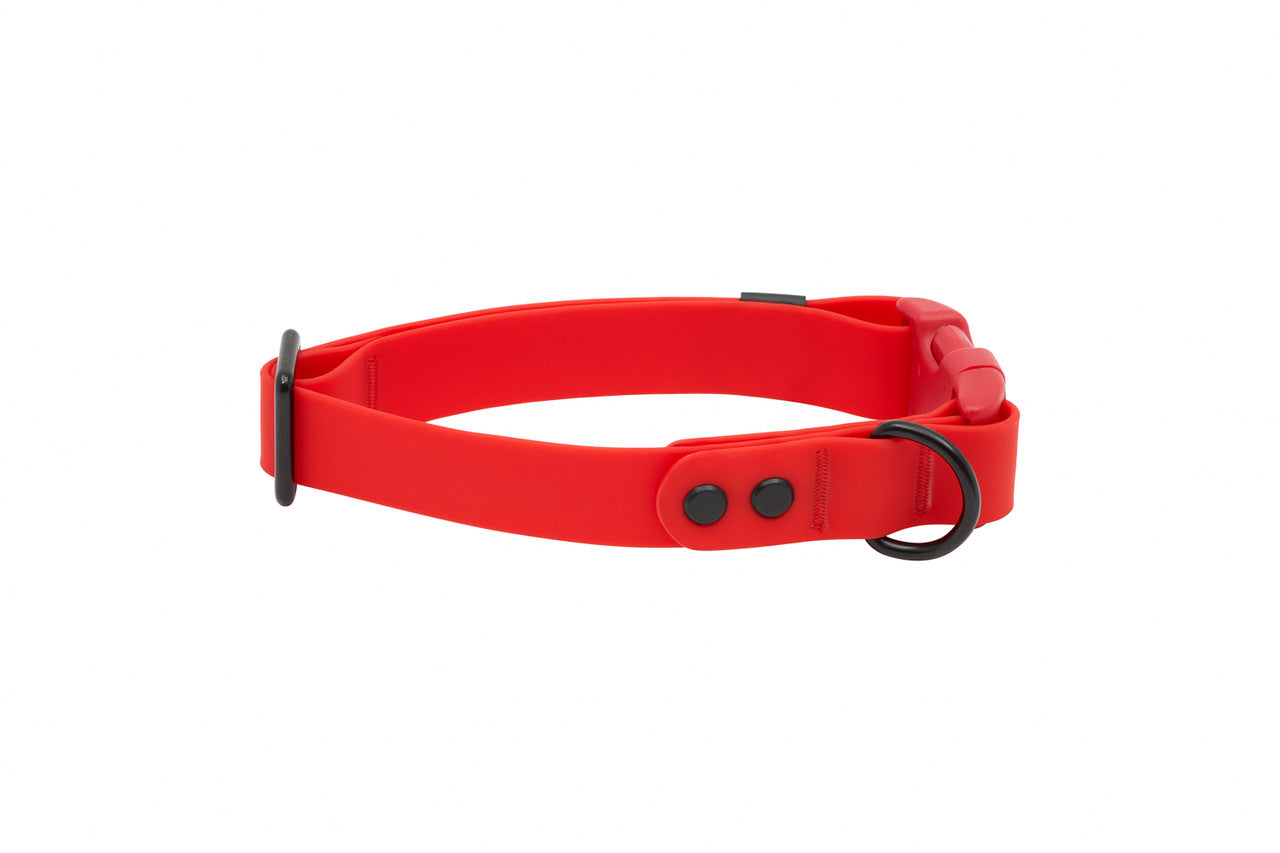 RC PETS | Collier imperméable