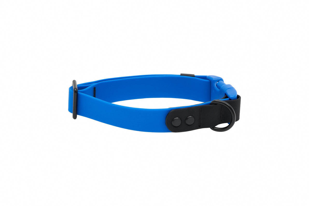 RC PETS | Collier imperméable