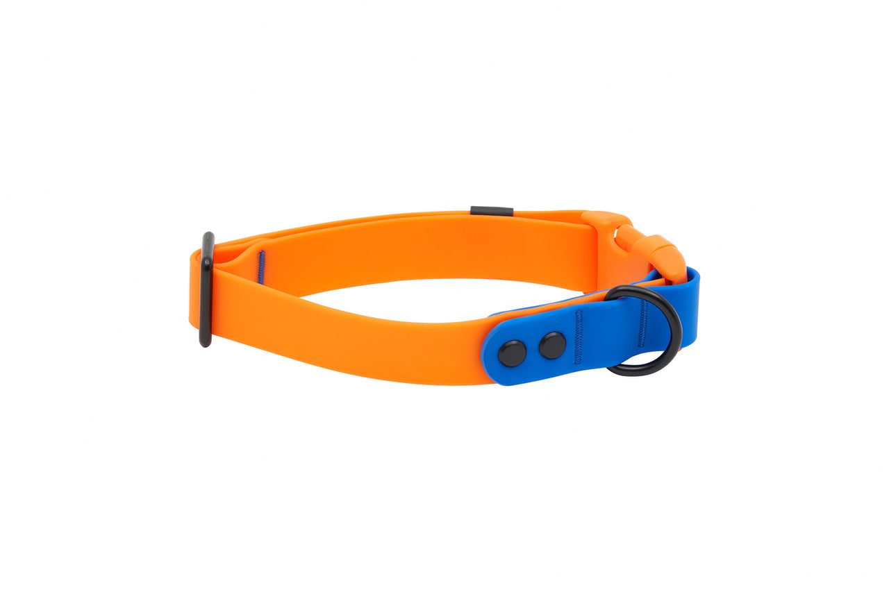 RC PETS | Collier imperméable