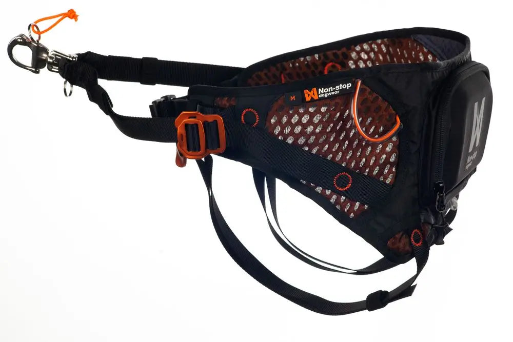 NON STOP | Ceinture pour skijoring Løype. Nature Animale, votre référence en alimentation animale et sport canin à Mascouche.