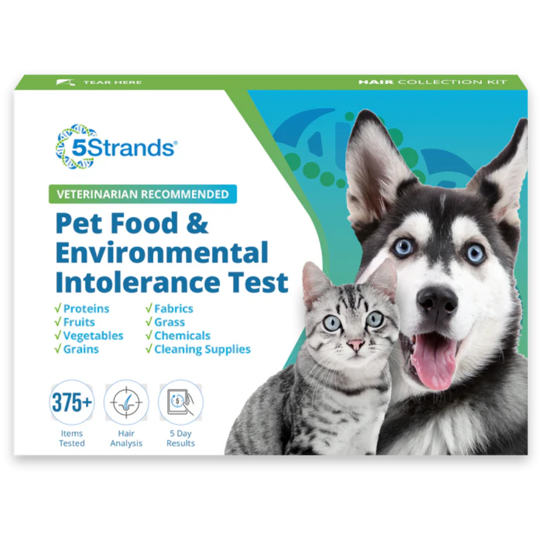 5 Strands test d'intolérances environnementales et alimentaires