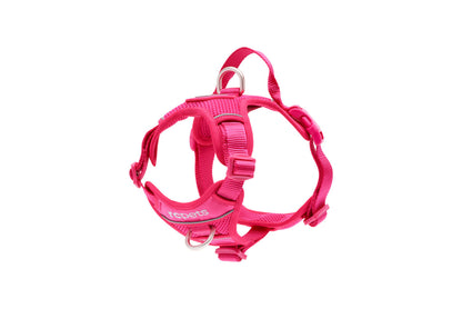 RC PETS | Harnais pour chien Momentum